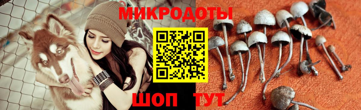 Псилоцибиновые грибы мицелий  Вход с VPN  купить  сайты  Южно-Сахалинск 