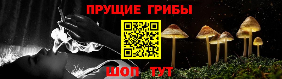 Псилоцибиновые грибы Cubensis Южно-Сахалинск